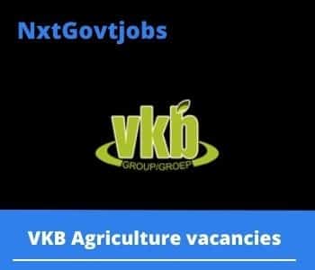 VKB Agriculture Learner Grain Grader Vacancies in Mokopane 2023