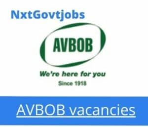 AVBOB Team Leader Vacancies in Polokwane – Deadline 10 Sep 2023