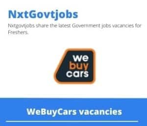 WeBuyCars Used Vehicle Buyer Vacancies in Makhado – Deadline 05 Dec 2023