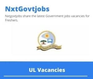 UL Professor Vacancies in Polokwane – Deadline 30 June 2023