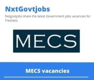MECS Contract Specialist Vacancies in Polokwane – Deadline 04 Jun 2023