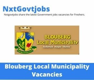 Blouberg Local Municipality Chief Financial Officer Vacancies in Polokwane – Deadline 28 July 2023